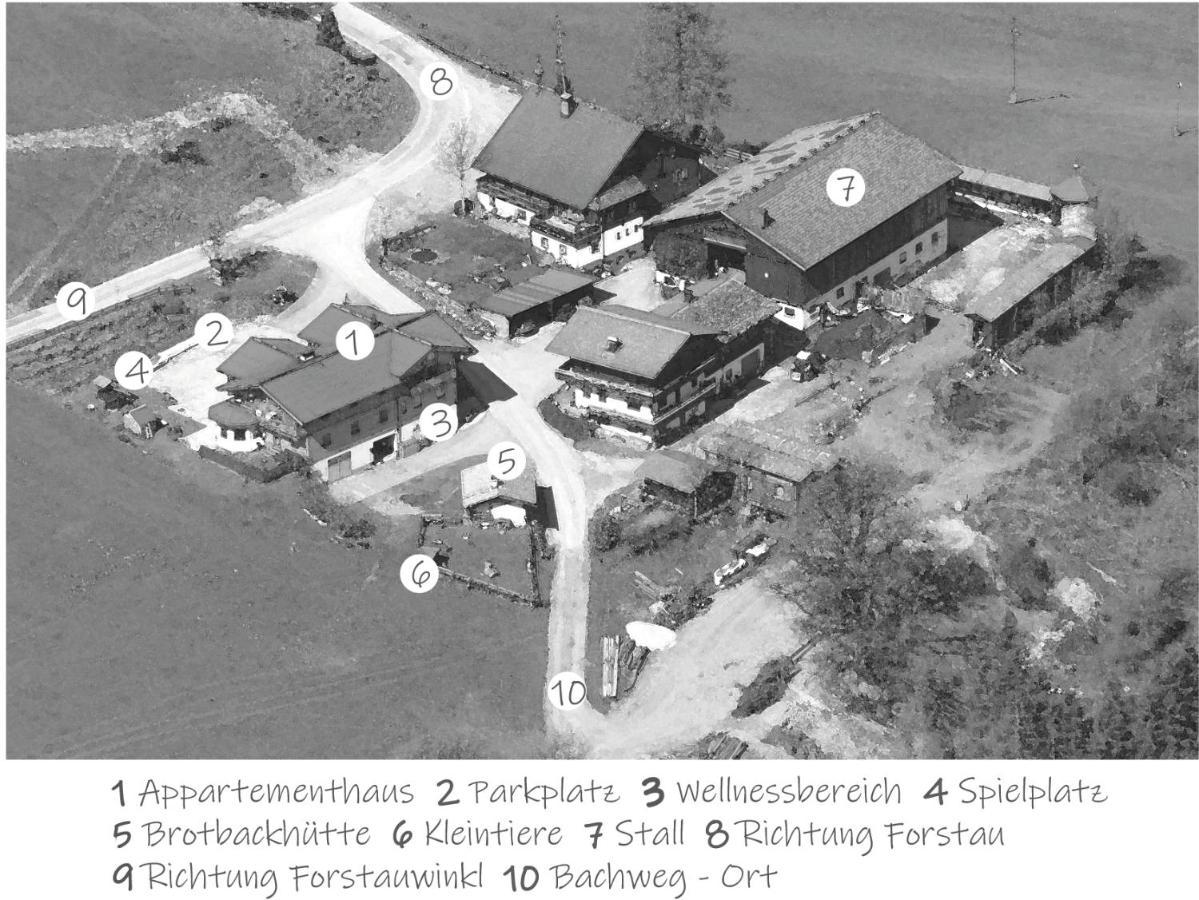 Oeko-Appartements Fallhaus Forstau  Exterior foto